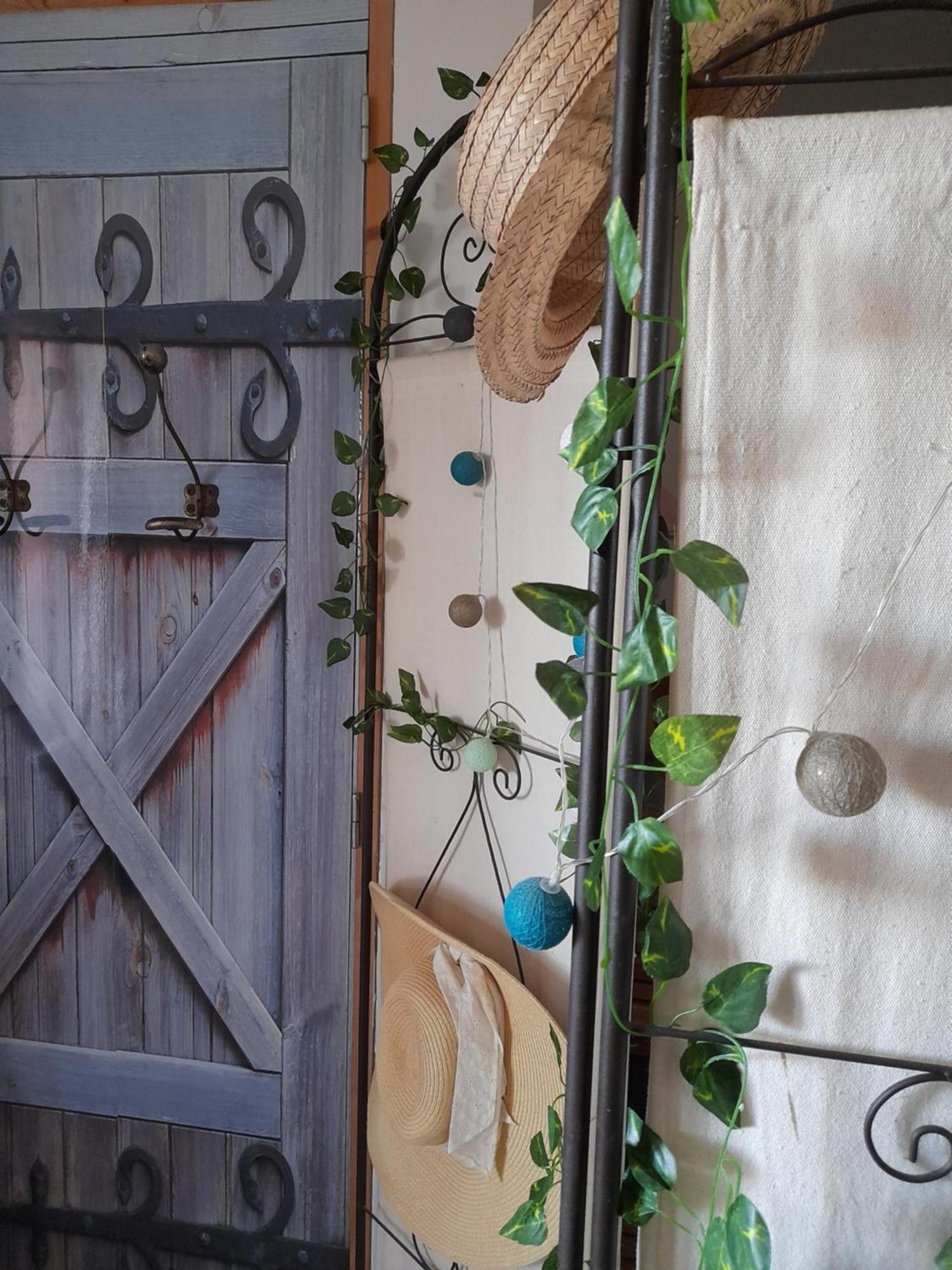 Maison Dougnac Fleurance エクステリア 写真